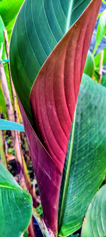 243965953_2982422855371539_4394992465965636874_n