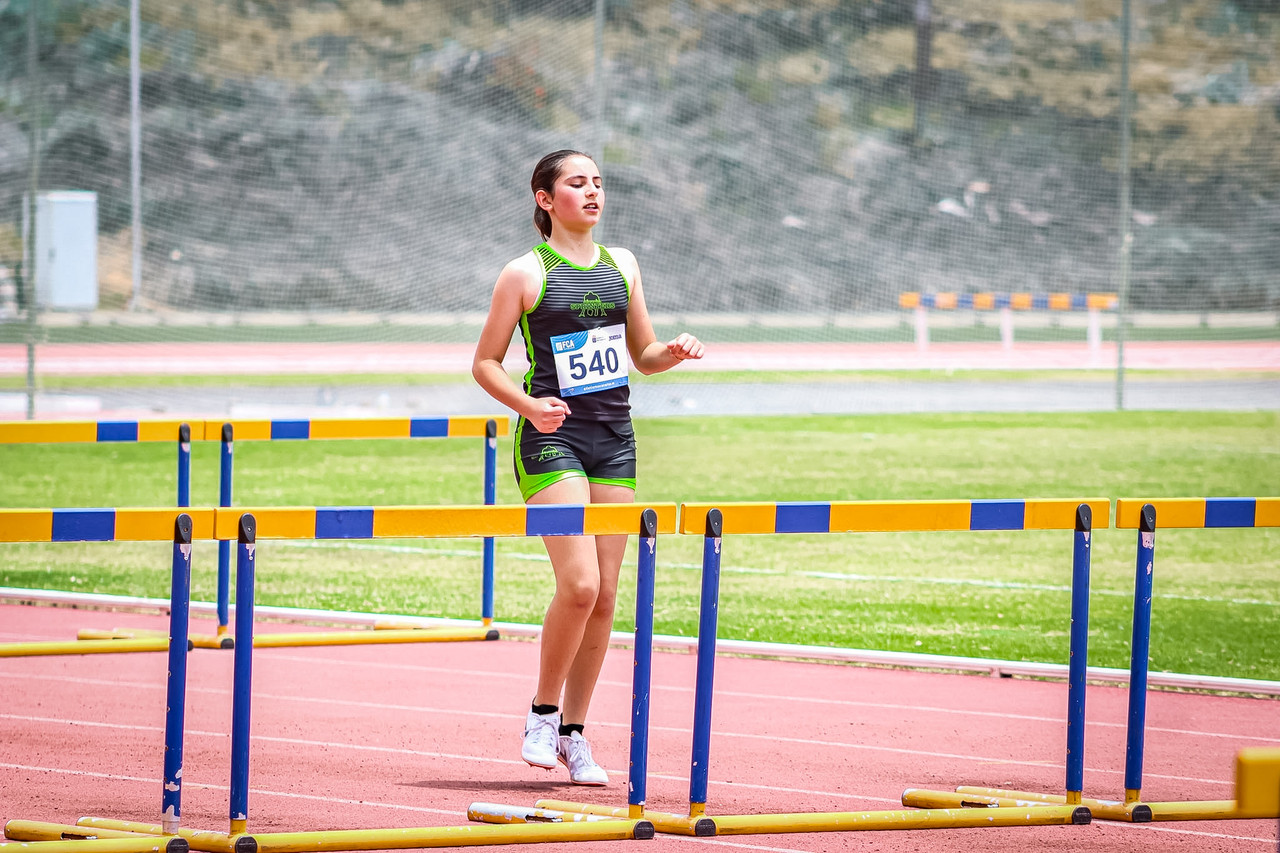 Canary Run 9528
