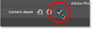 checkmark