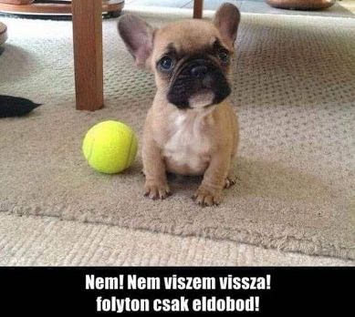 https://i.postimg.cc/Vv5HrfWR/nem-nemdobom.jpg