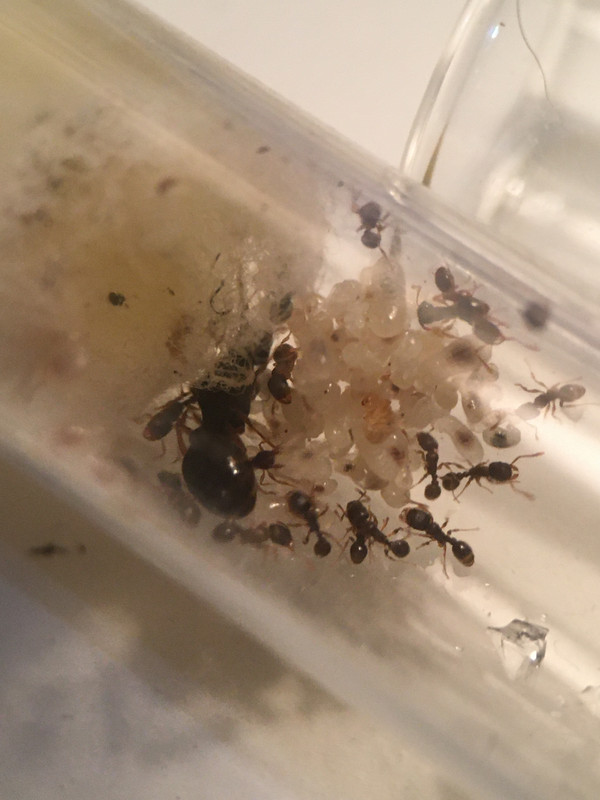 8E9A063F-B2BB-46D5-A773-03357C122512