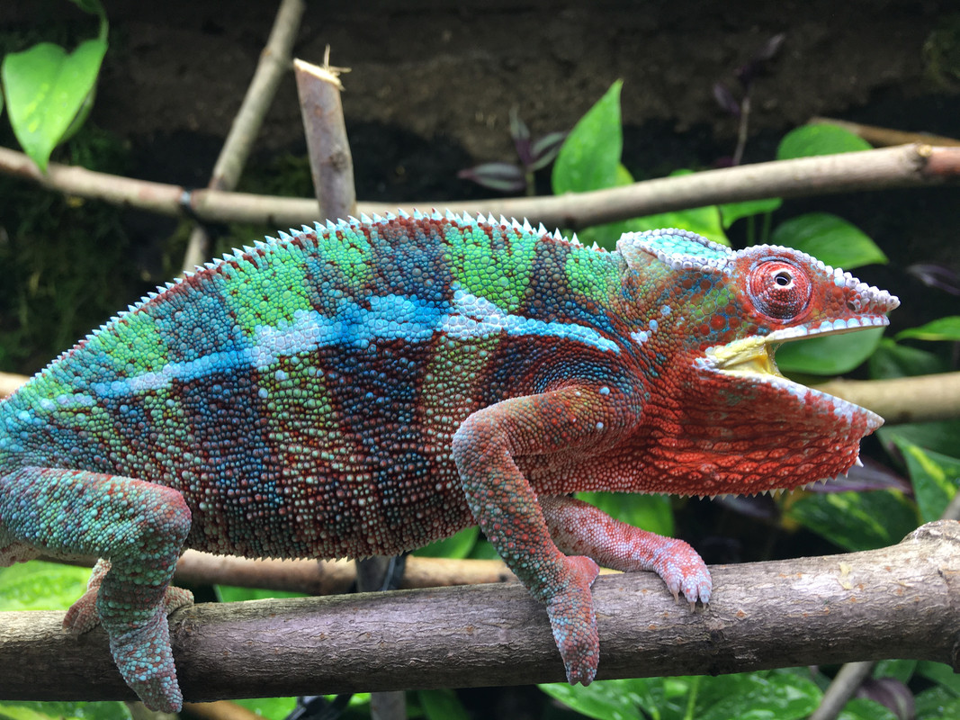 B24905E0-B293-4D9B-98D8-6333D010ABDB