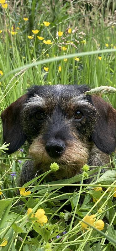 8374A0E6-62E1-4CCD-A22D-3CAFADA22A61