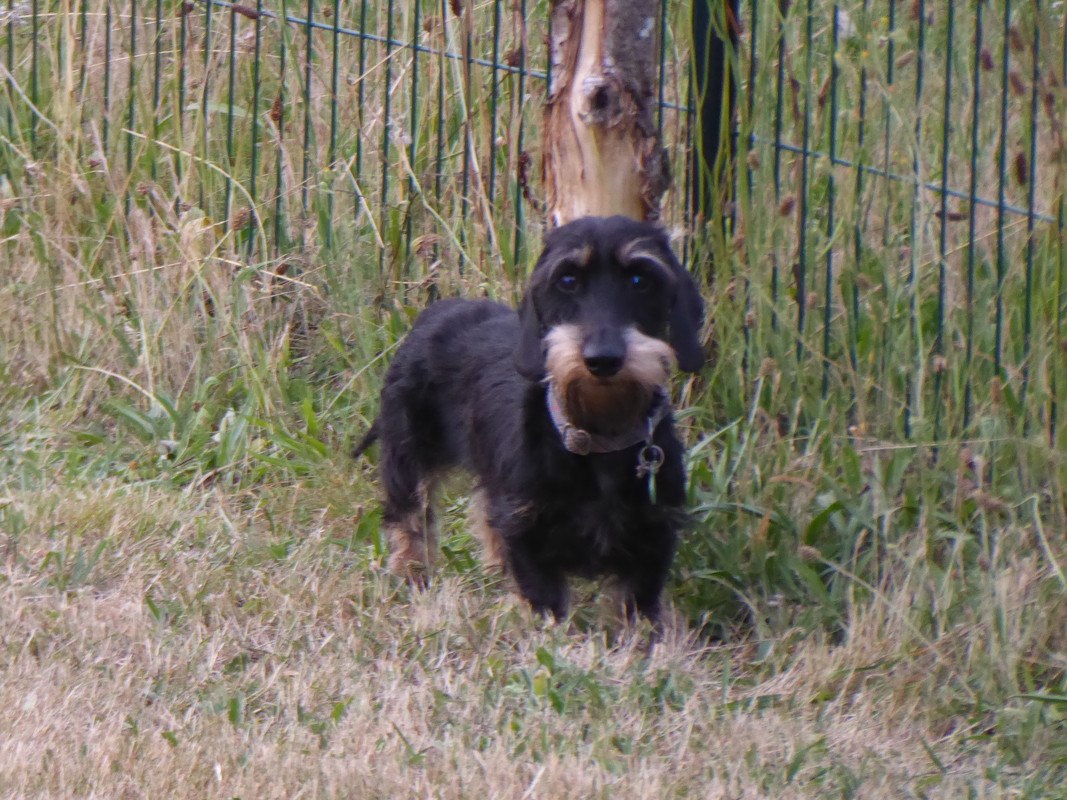 [Image: P1030398.jpg]