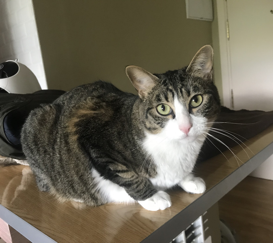 97942F71-E12B-402B-A4AD-EB233BAEFC50