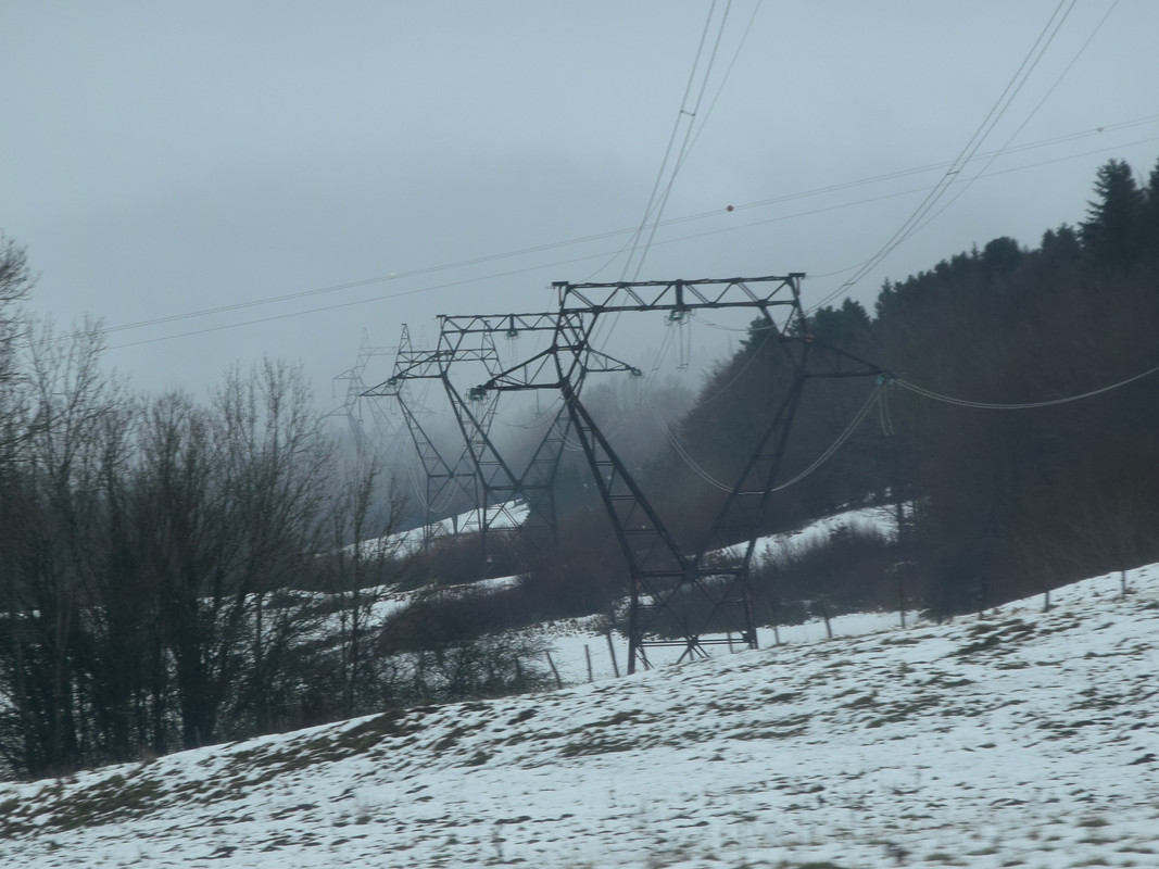 19 - Inébranlables mastodontes, absorbés par le froid, entourés par le sommeil