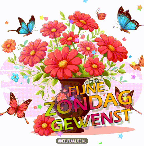fijne-zondag-gewenst-401581-jpg