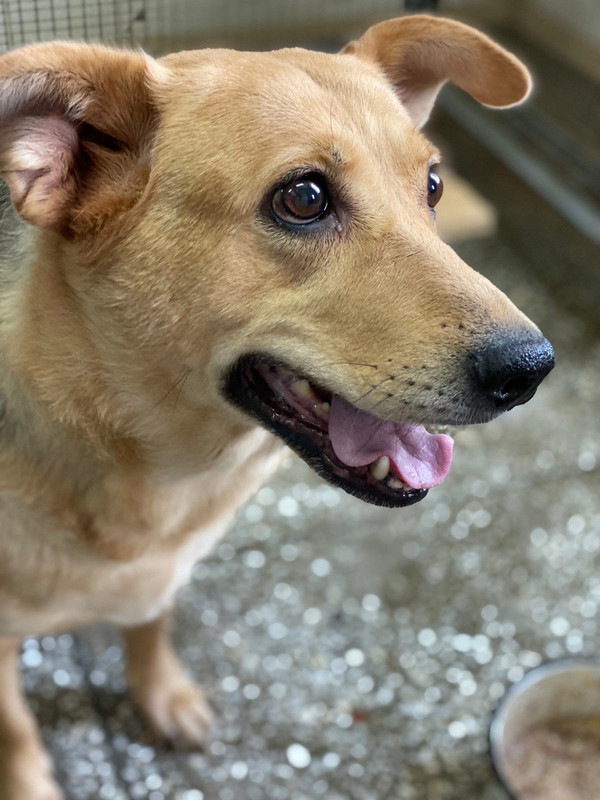 BC5F6807-21C5-43D2-AD46-9967A659CA44