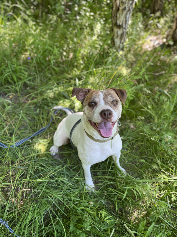 5887210A-E6BD-4EBF-AD91-7596C0C1BF43