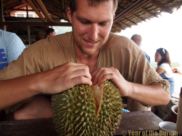 Opening Durian