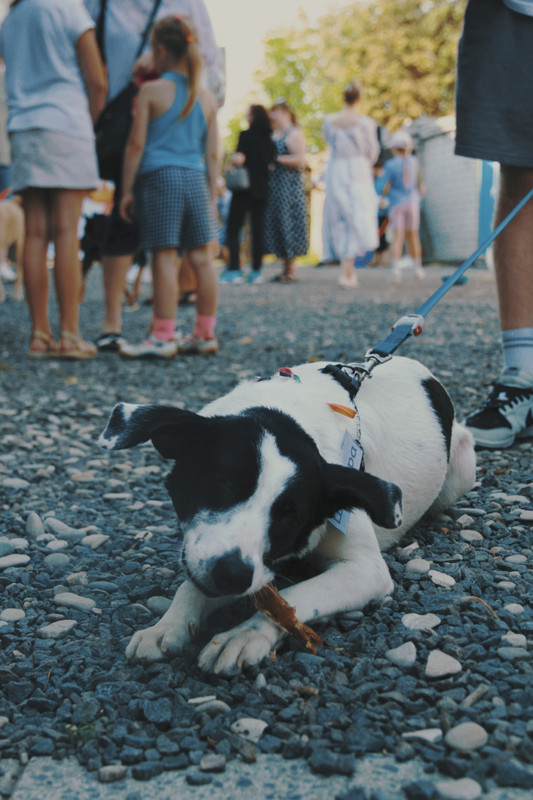 23-08-07_12-43-57-928