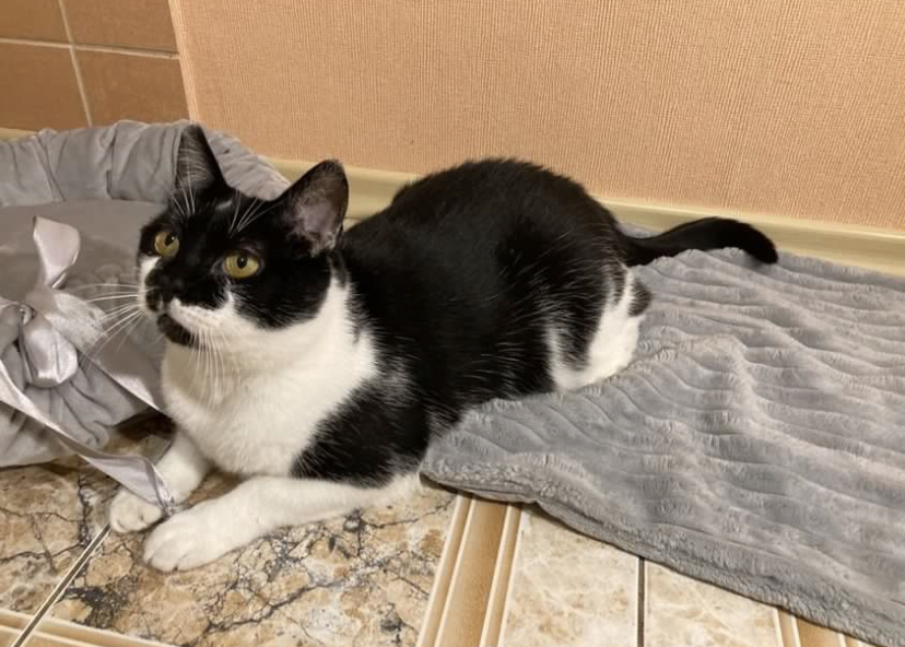 9D446512-F22E-4AA9-BADC-9ADB98B7BAC0