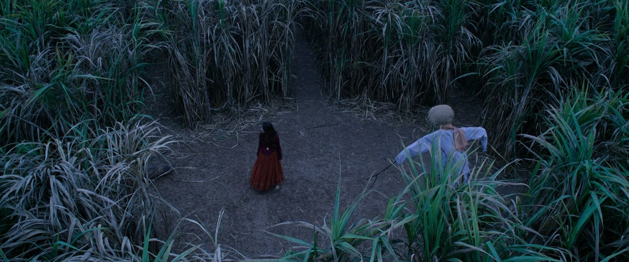 Chhorii.2021.1080p.AMZN.10bit.DDP.5.1.x265.[HashMiner]