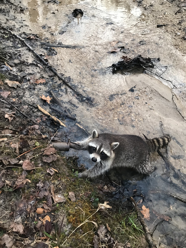 1E294BBB-ACC1-45C2-8ACB-28AEE01FE066