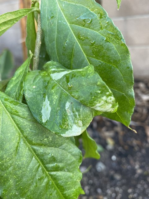 DACF70E9-7047-48F5-8C12-9CE880DEBE58