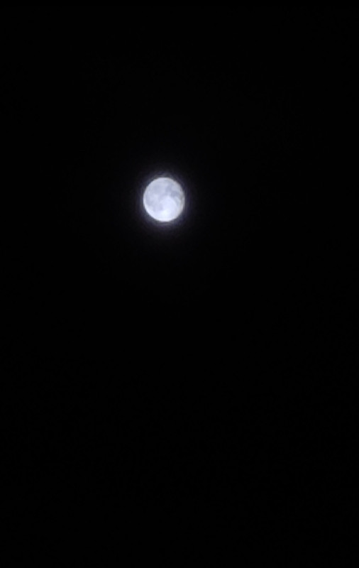 IMG-20240919-231313.jpg