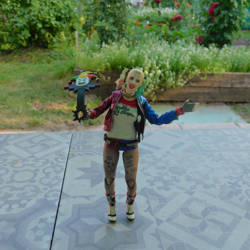 Дачно-Харлинский июнь-июль 2024 259