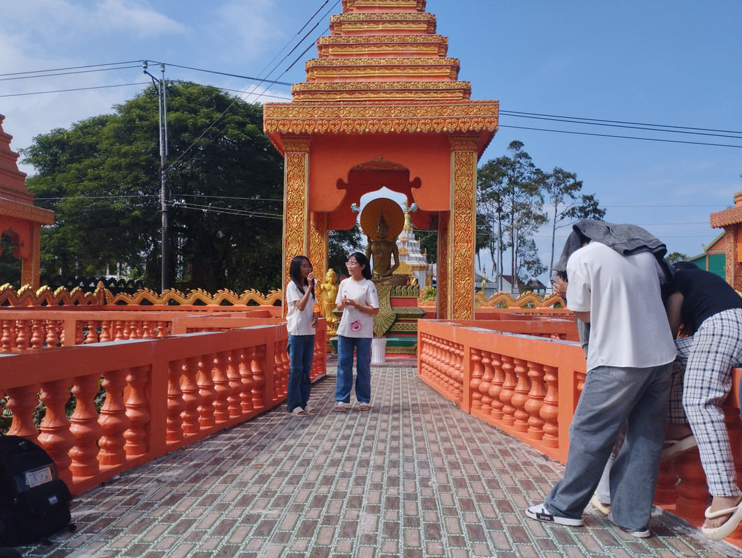 Hoạt động 8