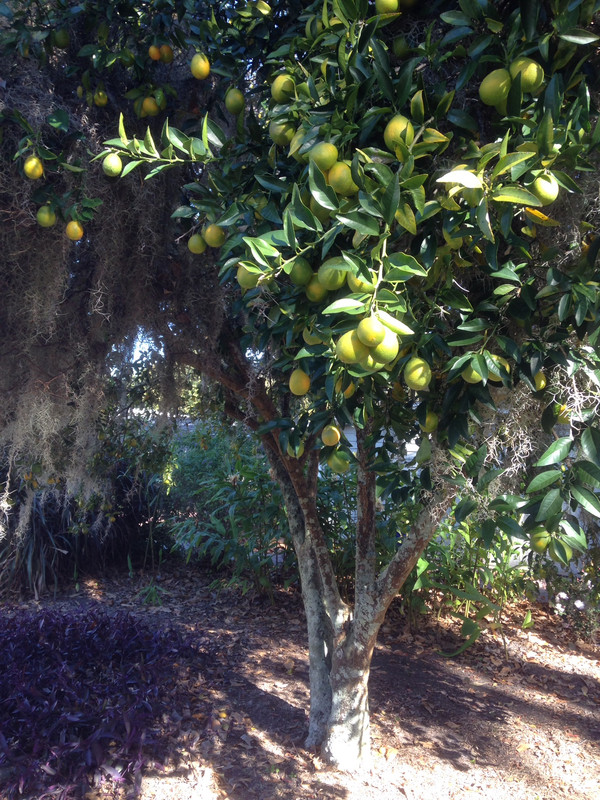 663ED8CB-5482-44BF-9FC3-550DE343F349