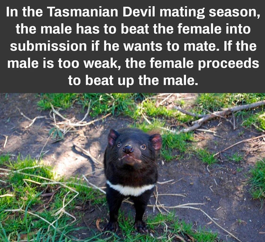 34-E182-A0-F1-B5-46-D8-AA9-F-E19-F0-A687