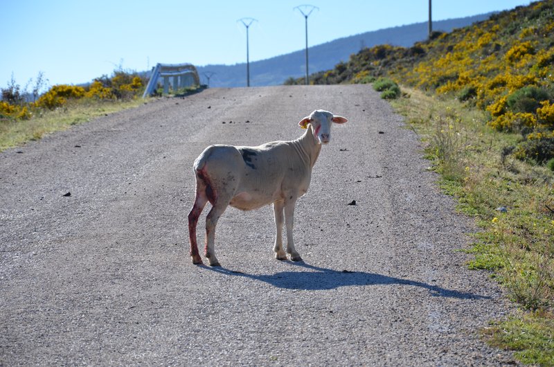 BRETUN-25-5-2013 - Soria y sus pueblos-2010/2013/2020 (32)