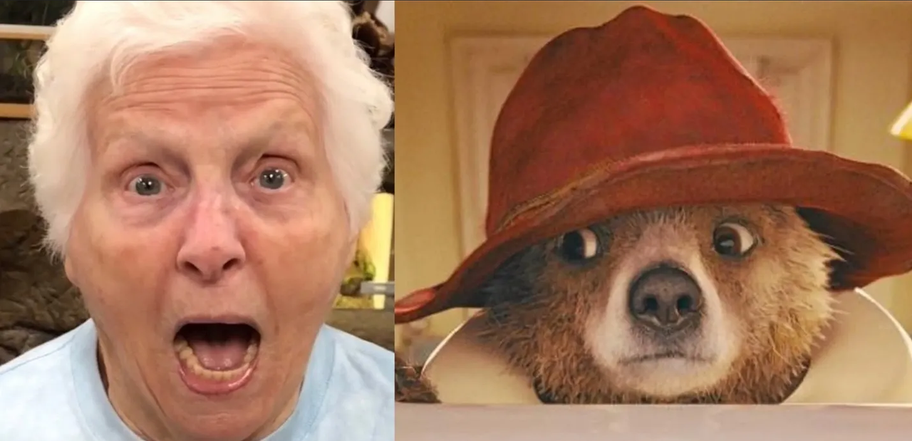 ¡Oso fantasma! Casi le arranca el corazón a una abuelita y el video se hizo viral