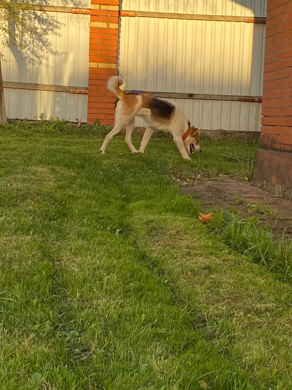 99A5DE8A-242B-4E7A-AC66-9DFC7263B793