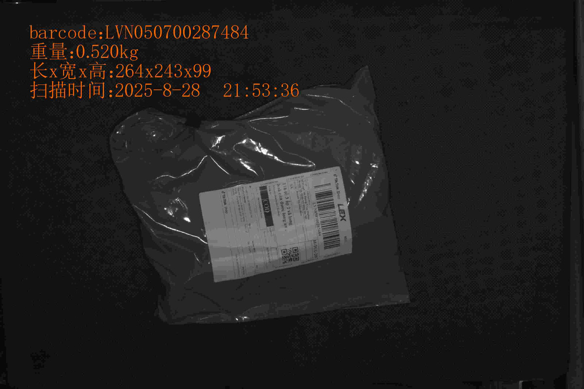 LVN050700287484_264_243_99_0.520_2025_8_28_21_53_36