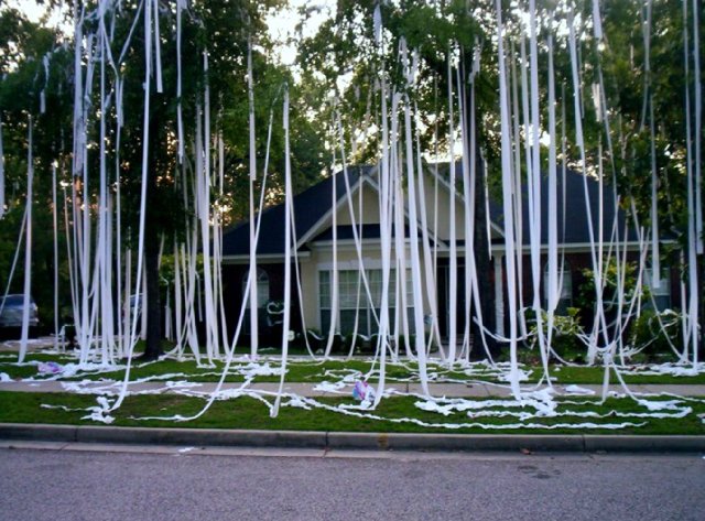 5F4A31C1-6E69-408E-A4C1-2A73E5017F00