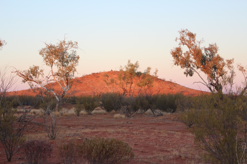 2019-Madigan-Line-Simpson-Desert-TRIP-853.jpg