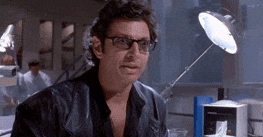IMG-8272.gif