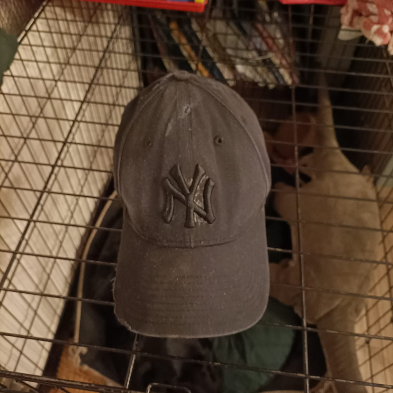 IMG 20260518 WA0000
