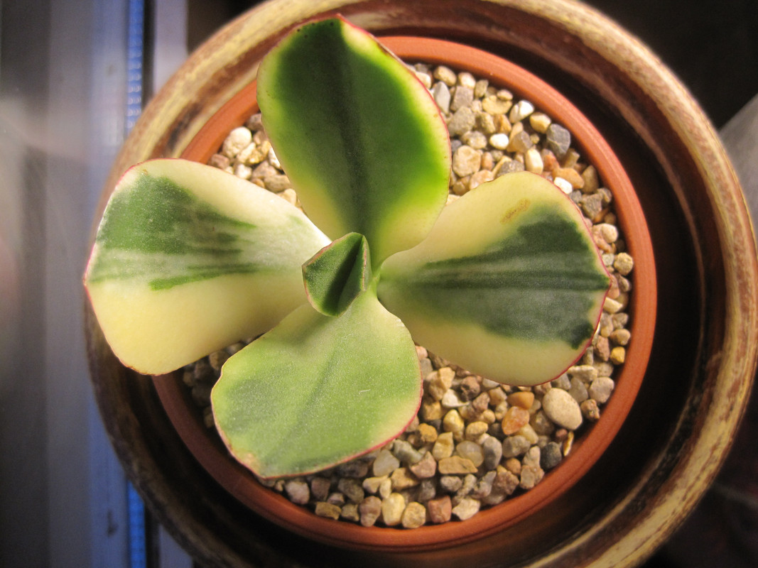 6 ноября 2022 г