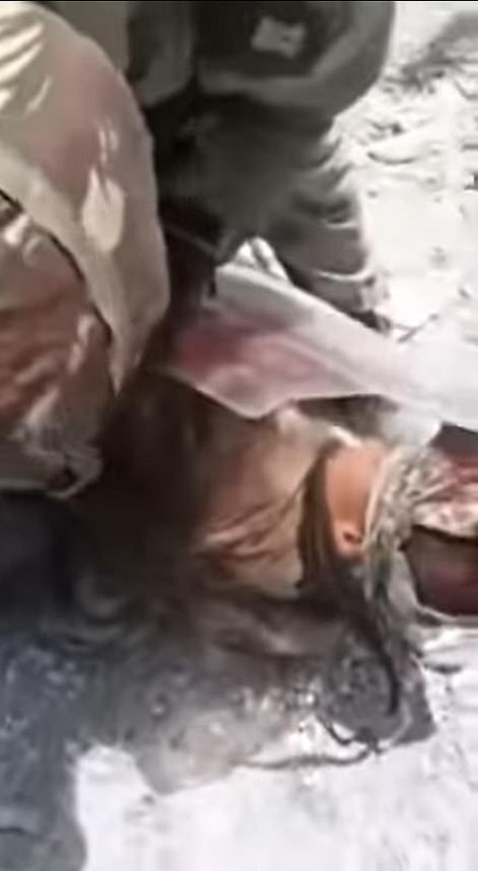 29124952-8435033-Believed-to-have-been-f