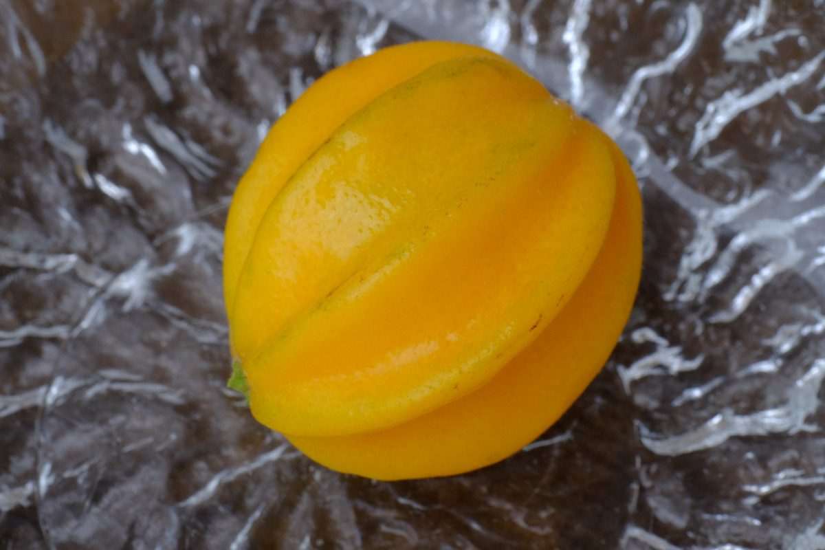 pitangatuba
