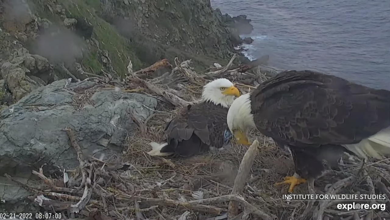 7D532231-328D-43DC-B530-034FEC7DF4AD