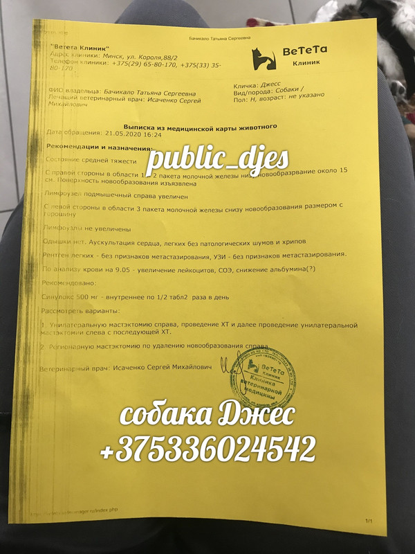 720E64E2-9258-4AB7-8196-5FBD3D1FD51A