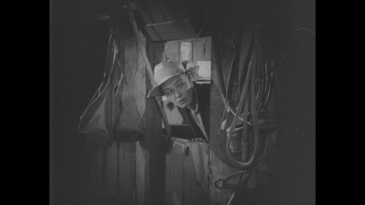 vlcsnap-2024-07-05-21h58m53s577