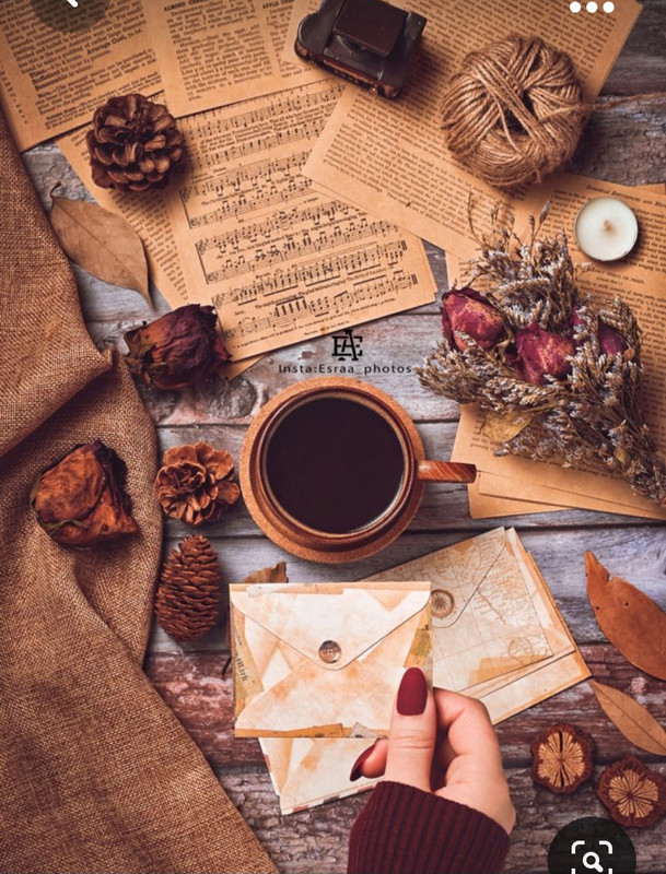 Screenshot_20231008_214328_Pinterest