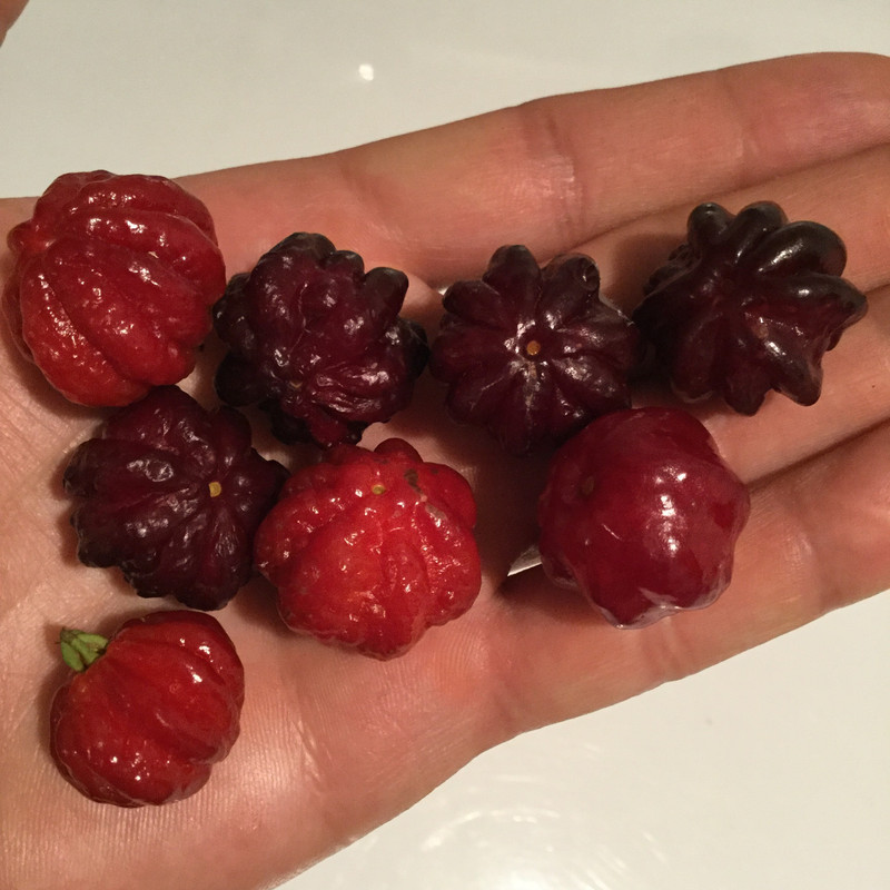 B89966F9-81E0-4029-A3E5-11A197AA50F2