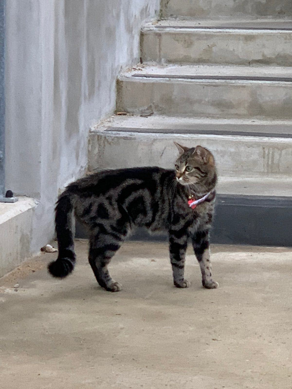 IMG-622110345ec8a16c8457809412276535-V-1