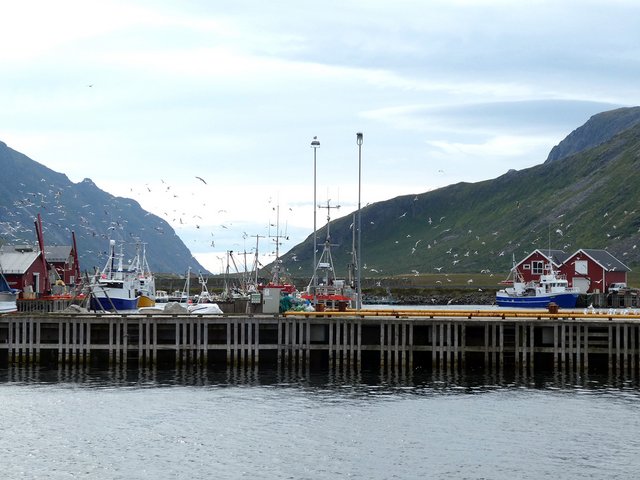 DÍA 8 – LOFOTEN: RAMBERG-KVALVIKA BEACH-HAMNØY-REINE-Subida al REINEBRINGEN - 12 días por Noruega: Bergen - Tromsø - Islas Lofoten - Oslo (2)