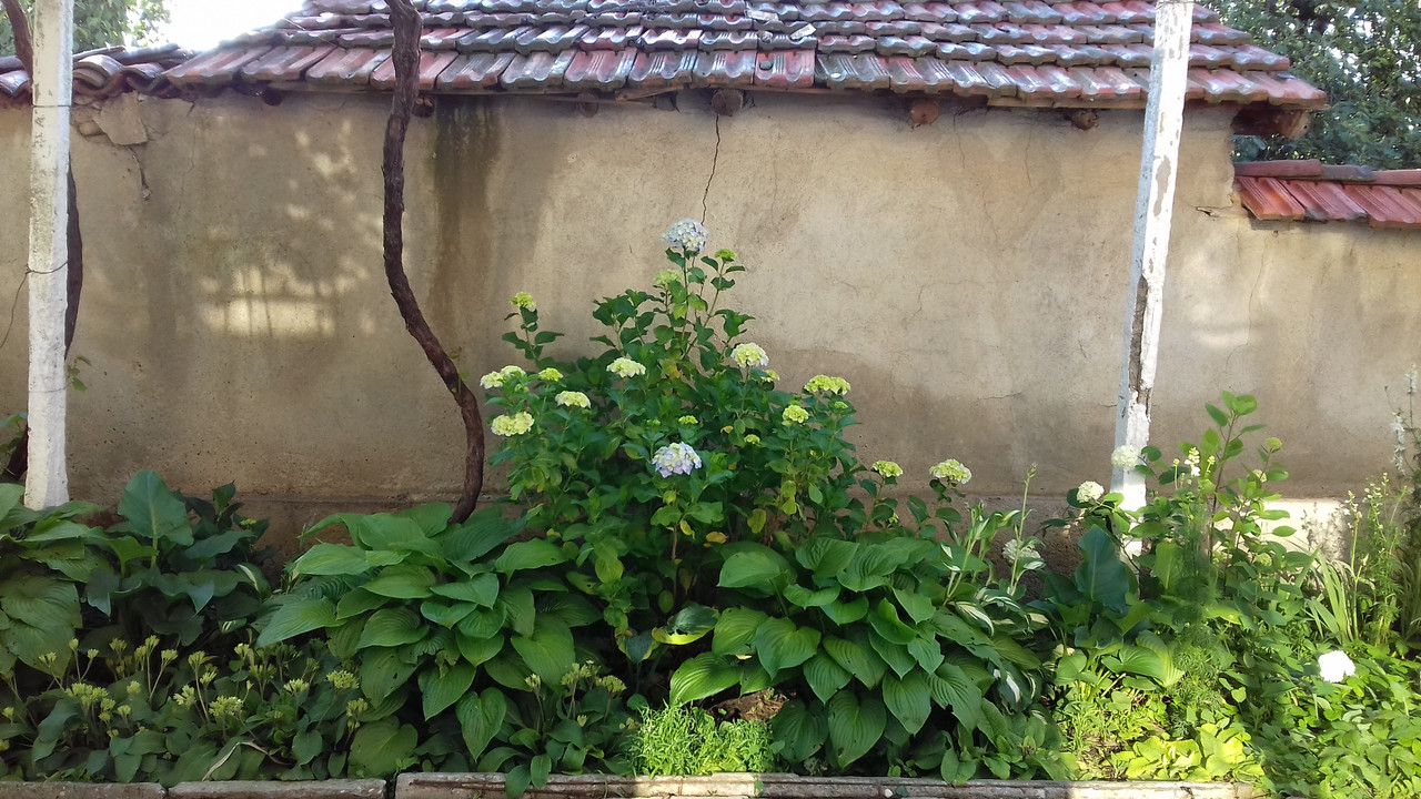 20190604_073851