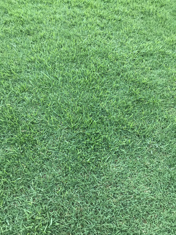 D33B7F86-F9DB-4EA6-BCFB-3E45E72C1A14