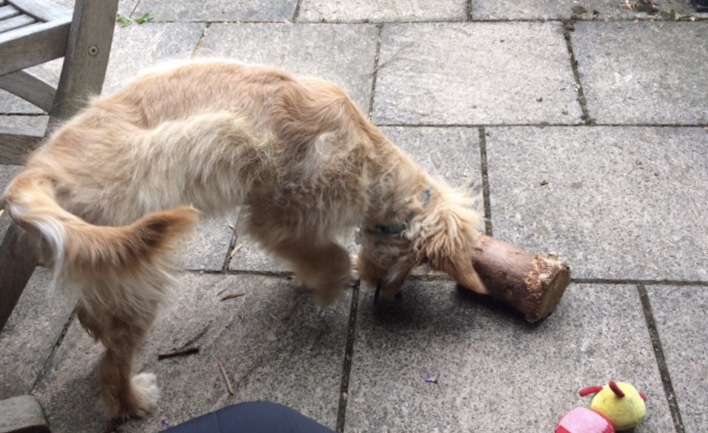 97B3A801-44BC-4F84-8F30-9F2670921680