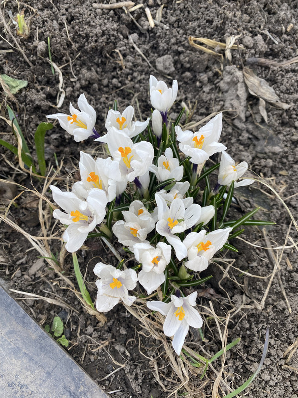 EE9EF046-71F1-4C19-94CC-87BFD8BC7F51