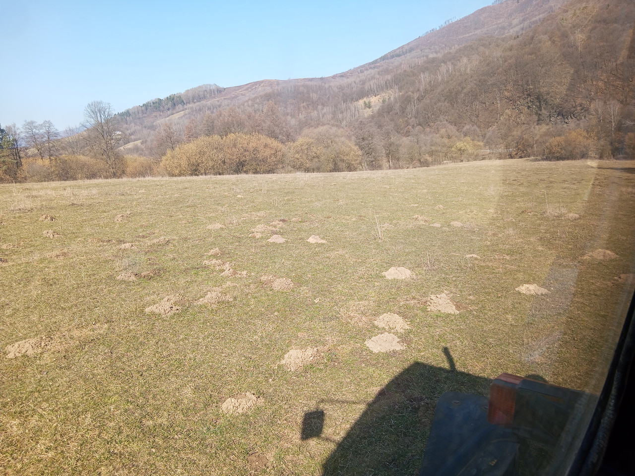 IMG 20260309 105246 072