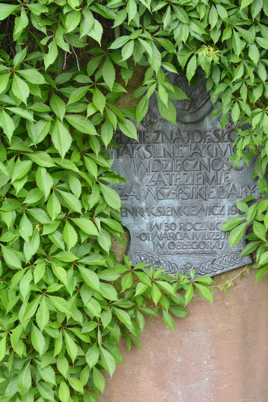 01.14 - DSC_7495 (Ater)