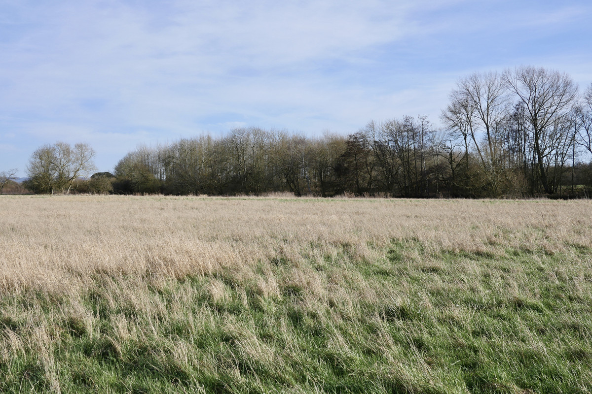 6A75FB46-A17F-4050-9468-D1DD5AA51D0C