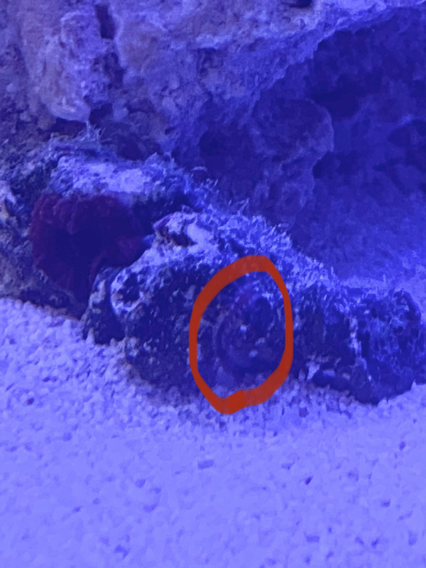 AC458093-D314-4D83-A498-2B0B2563B733